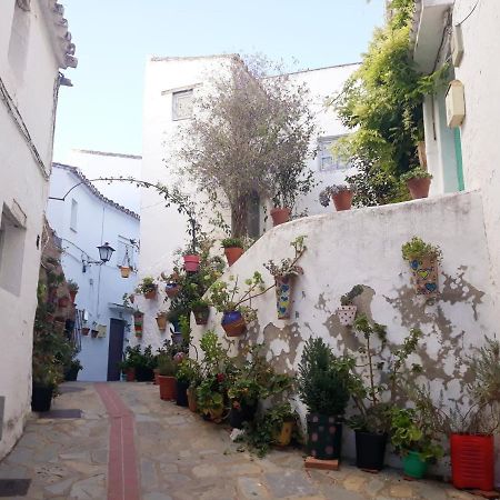 Beautiful Apartment In Duquesa Suites And Gardens Castillo de Sabinillas Eksteriør bilde